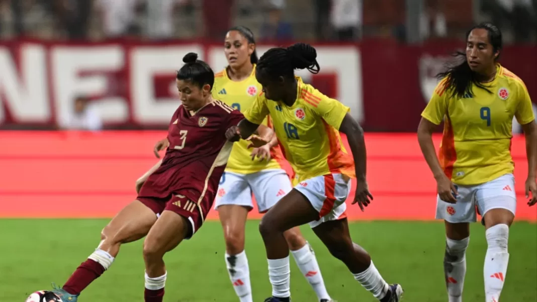 vinotinto femenina