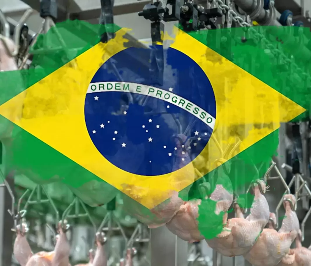 BRASIL-EXPORTACIONES-DE-POLLO