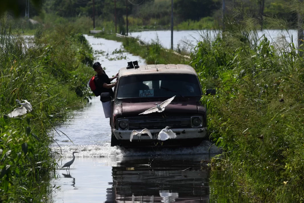 Más de 800 familias de Isla La Culebra están en riesgo