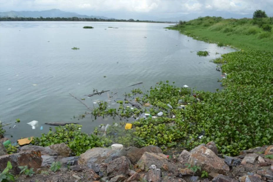 Proponen reúso seguro de aguas residuales del Lago de Valencia