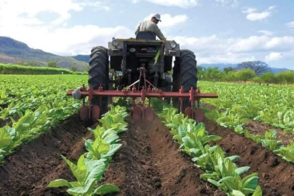 Sector agrario retrocedió cuatro décadas, según Fedeagro