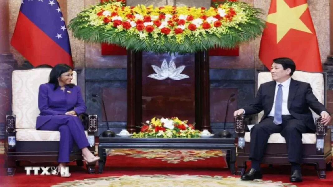 Vicepresidenta ejecutiva se reúne con el presidente Luong Cuong