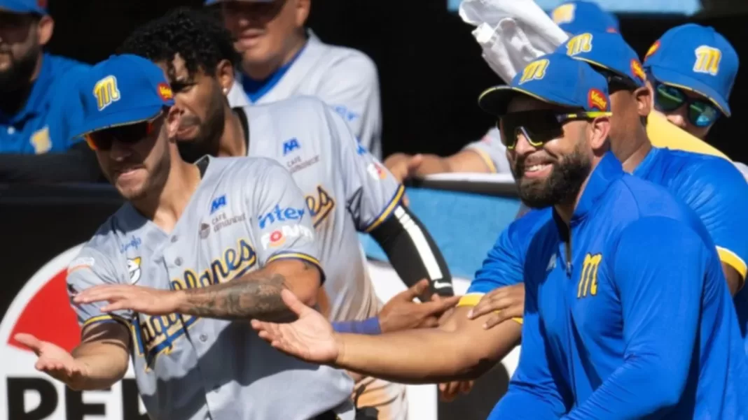 Magallanes apaliza a Leones 18-3 en el Monumental