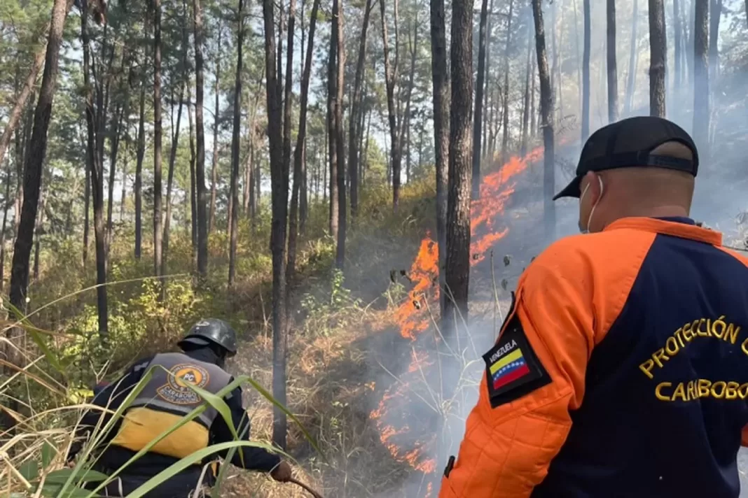 Incendios forestales