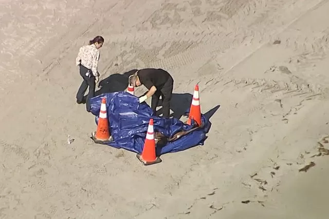 Hallan una cabeza humana en una playa de Key Biscayne