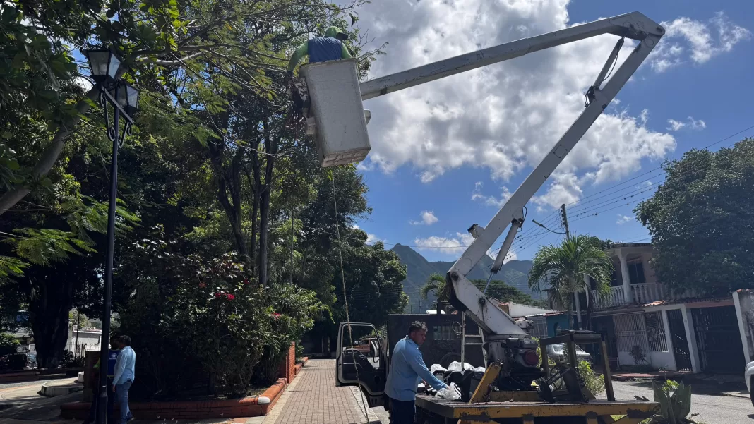 Fumcosandi remplazará 85 luminarias