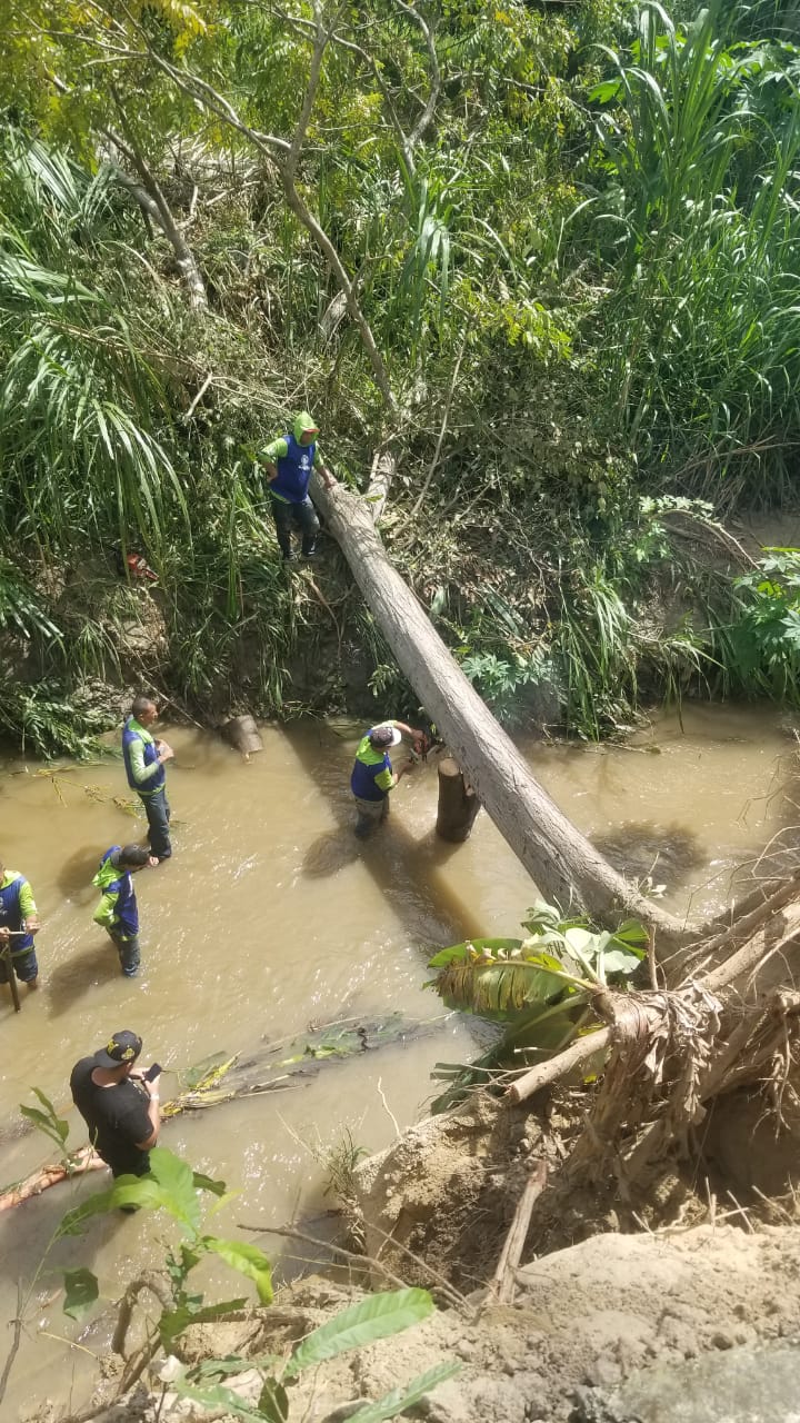 Fuertes lluvias