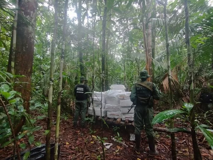 Incautaron más de cinco mil kilos de droga en Amazonas