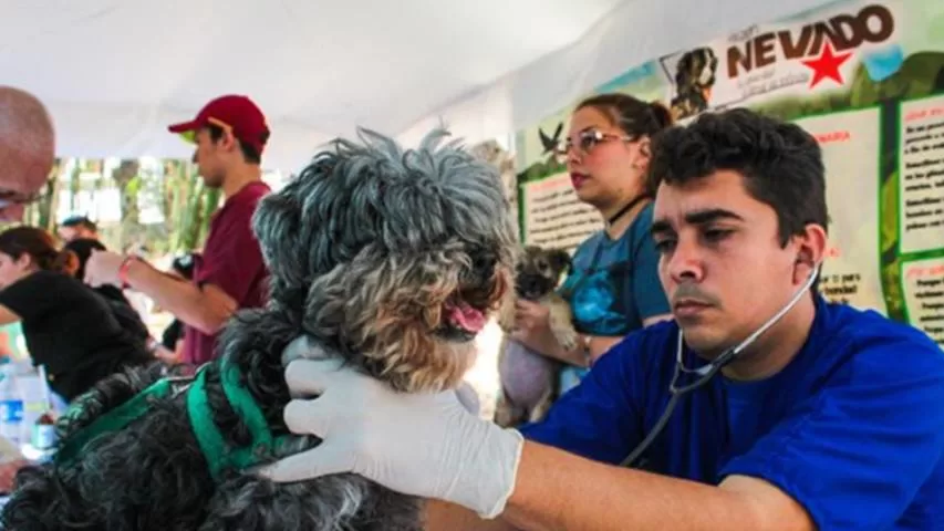 Misión Nevado ofrecerá jornada gratuita a mascotas en Morón