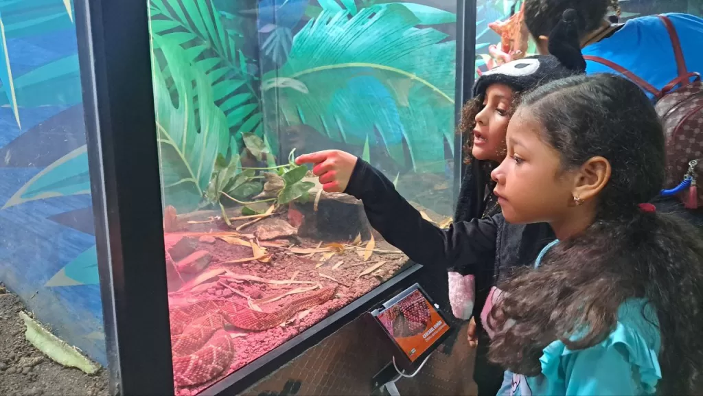 Niños de Valencia celebraron Dia de Reyes en el ZooAquarium