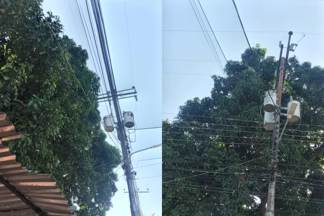 Vecinos solicitan poda de mata de mango en Pueblo de San Diego