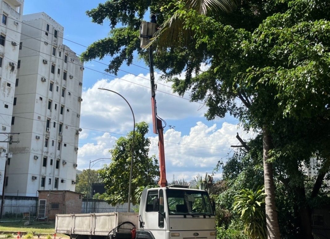 CORPOELEC favorece a más de 38 mil familias con Plan Control de Vegetación