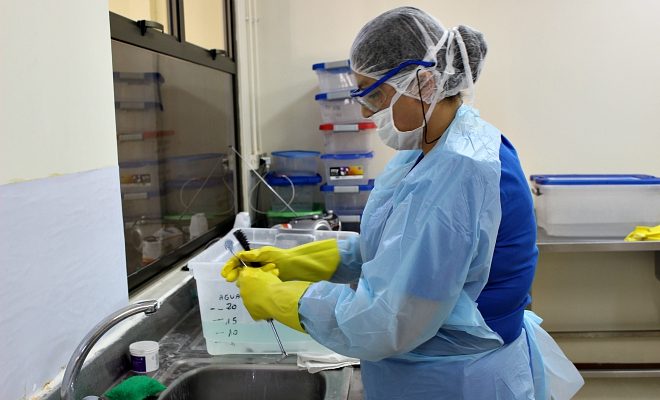 Gremio de enfermería de Carabobo exige mejores condiciones laborales