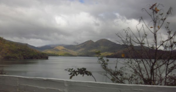 Opinión Danfny Velásquez: Municipio José Tadeo Monagas, estado Guárico