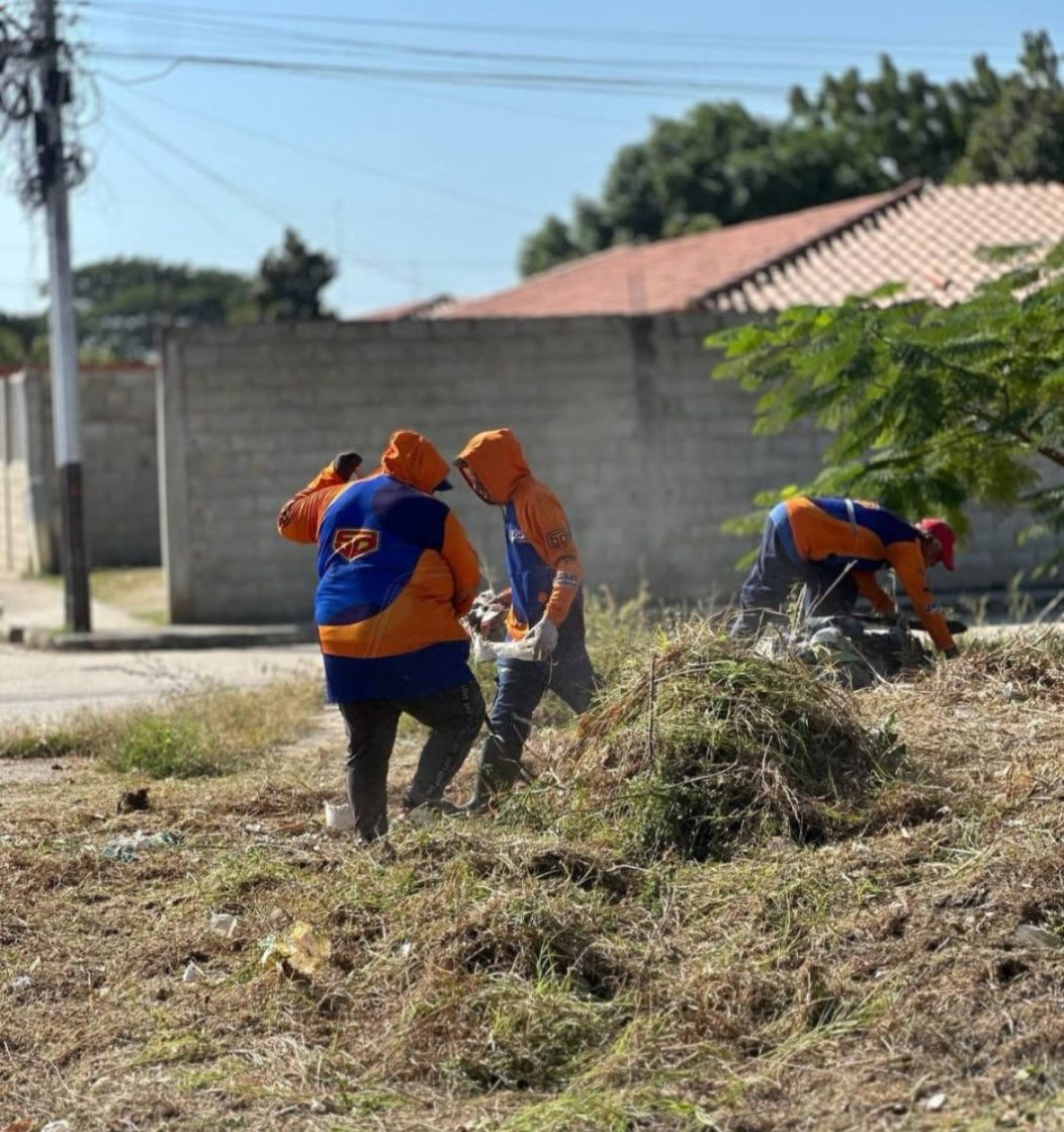 Ejecutadas labores de desmalezamiento en la comunidad El Samán de Guacara