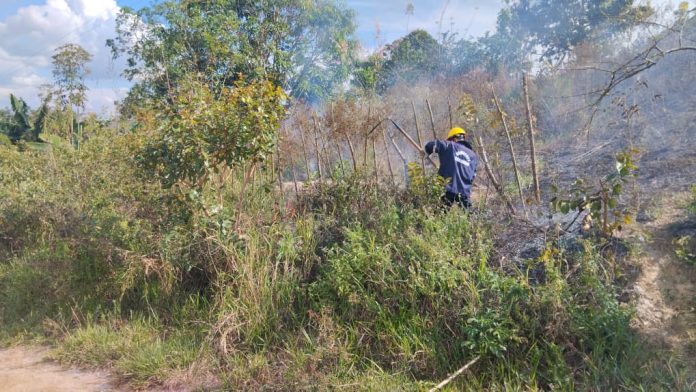 En los Valles Altos invitan a evitar las quemas de vegetación