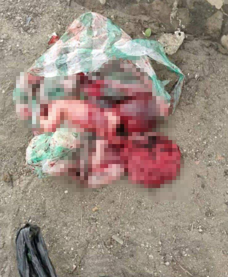 Encuentran feto dentro de una bolsa plástica en Valencia