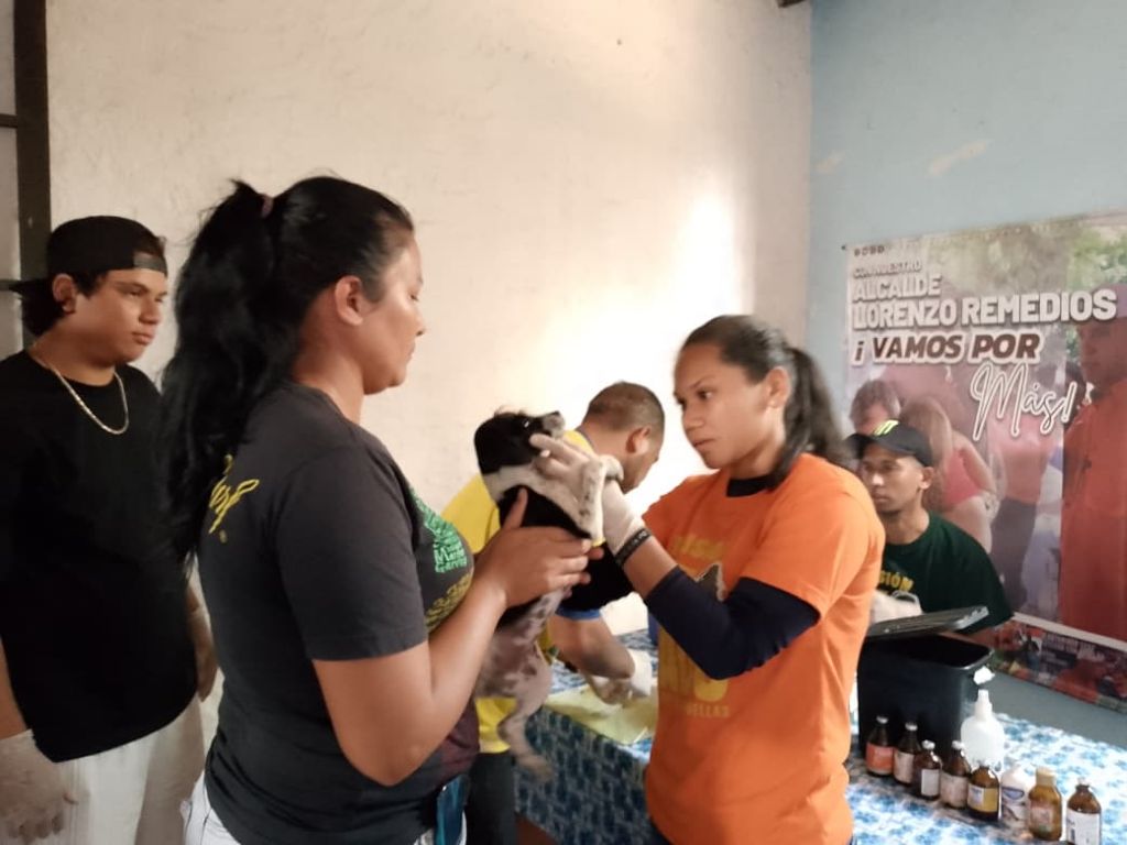Misión Nevado y Alcaldía de Bejuma atendieron a 207 mascotas