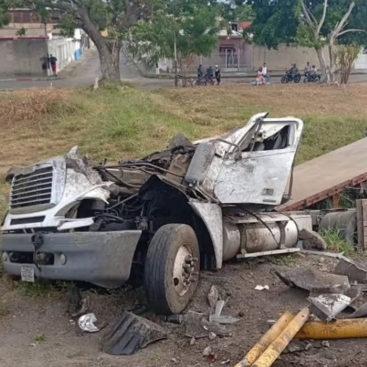 Camión con carga animal volcó en la ARC y dejó dos heridos