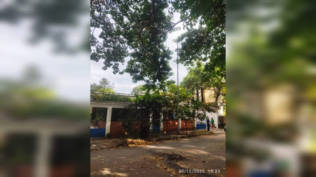 Jabillo de grandes dimensiones pone en riesgo seguridad y vialidad en Trigal Centro