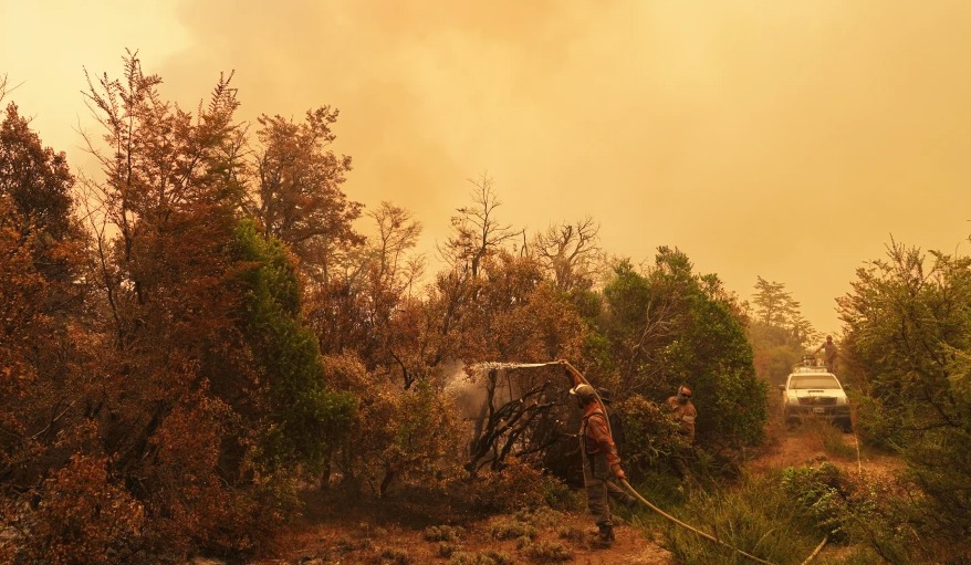 Milei declaró zona de desastre y emergencia en la Patagonia por incendios forestales