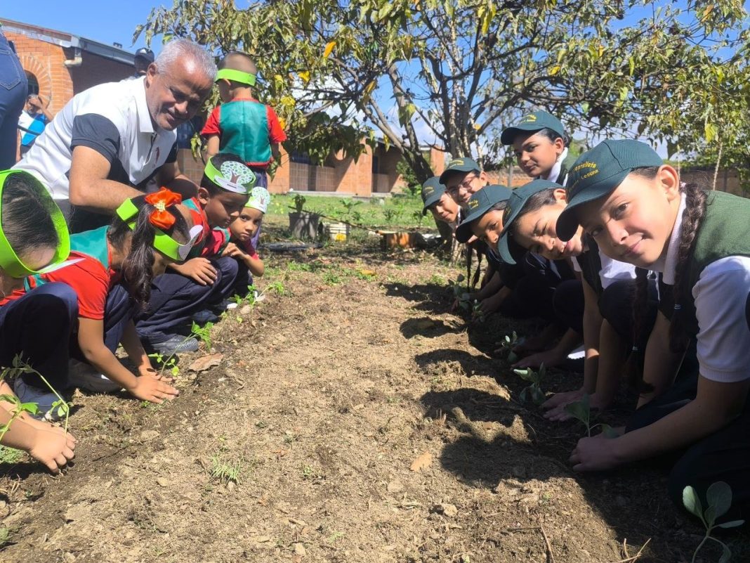 Sembradas más de mil plantas en centros de educación inicial de Valencia