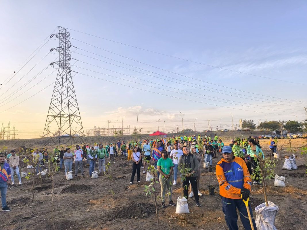 Sembrados más de 300 árboles por 332° aniversario de Guacara