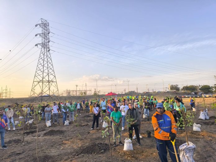 Sembrados más de 300 árboles por 332° aniversario de Guacara Sembrados más de 300 árboles por 332° aniversario de Guacara