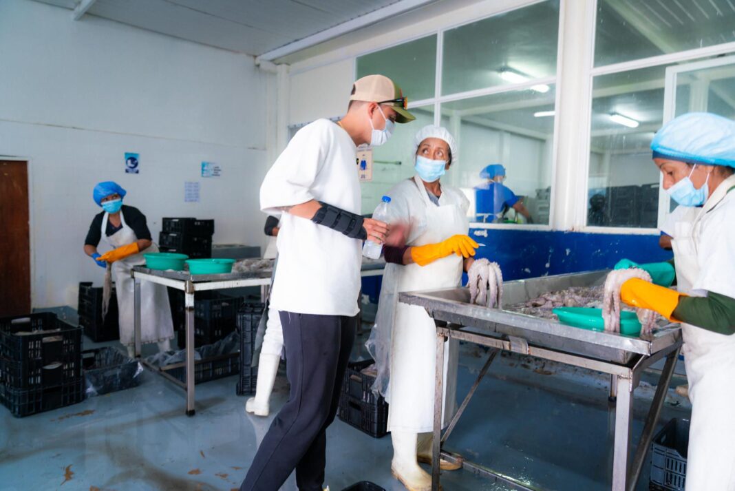 Exportasión pulpo La Guaira