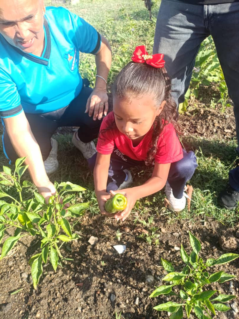 Plan Agroproductivo Escolar Municipal promueve cultura de siembra