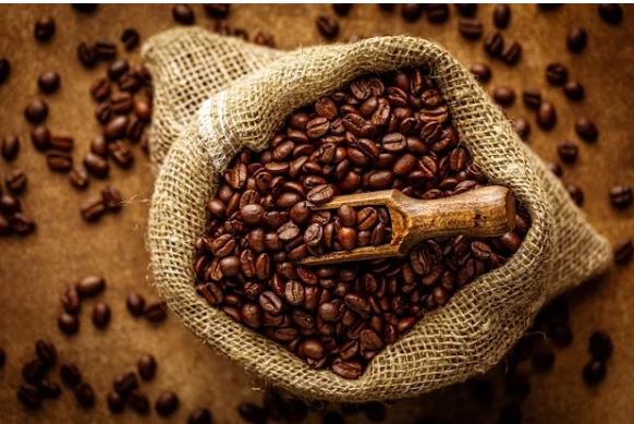 Caficultores venezolanos proponen que el precio del quintal de café estándar se fije en 300 dólares