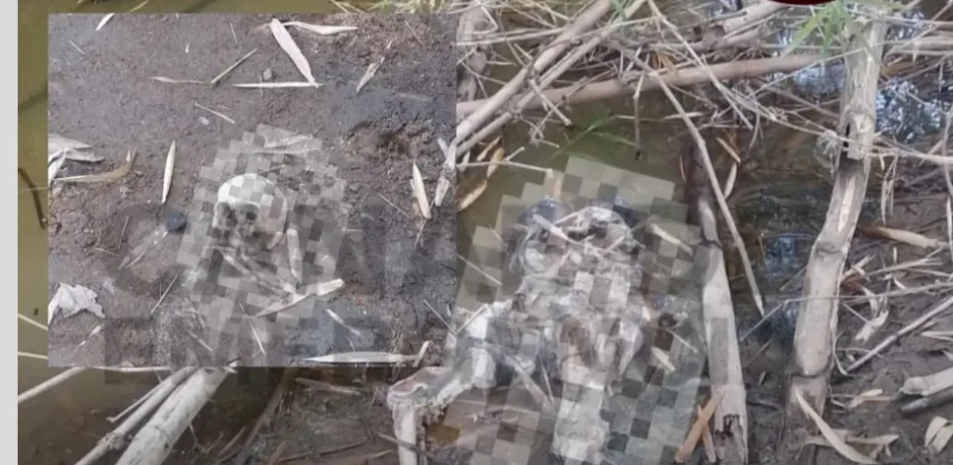 Hallaron huesos humanos en un terreno baldío del municipio Libertador