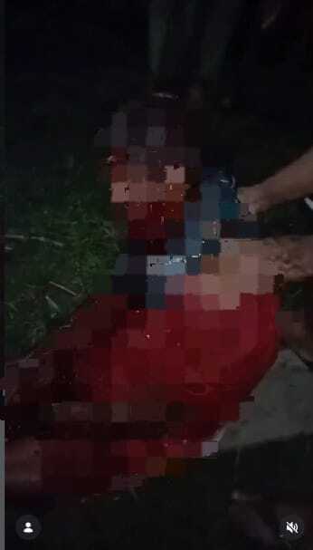 Puma atacó e hirió de gravedad a un hombre en Carlos Arvelo