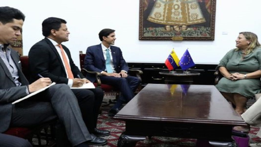 Viceministro para Europa y América del Norte se reunió con Encargada de Negocios de la UE en Venezuela