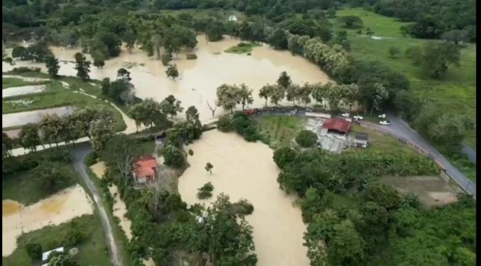 Colapsó puente en la Troncal 001 en Mérida tras fuertes lluvias