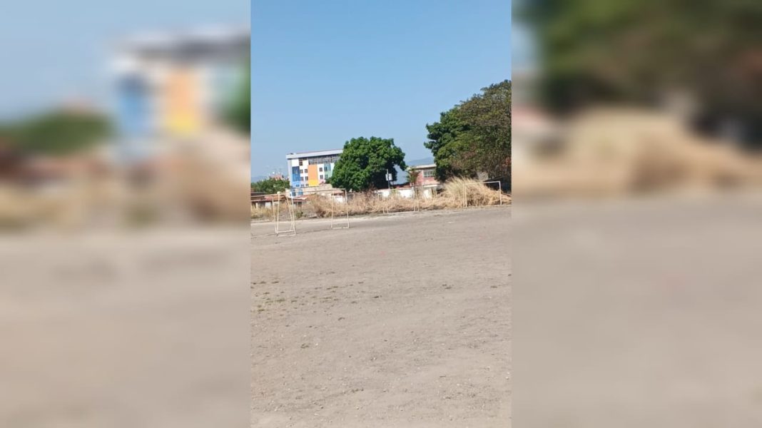 Los Bucares Flor Amarillo