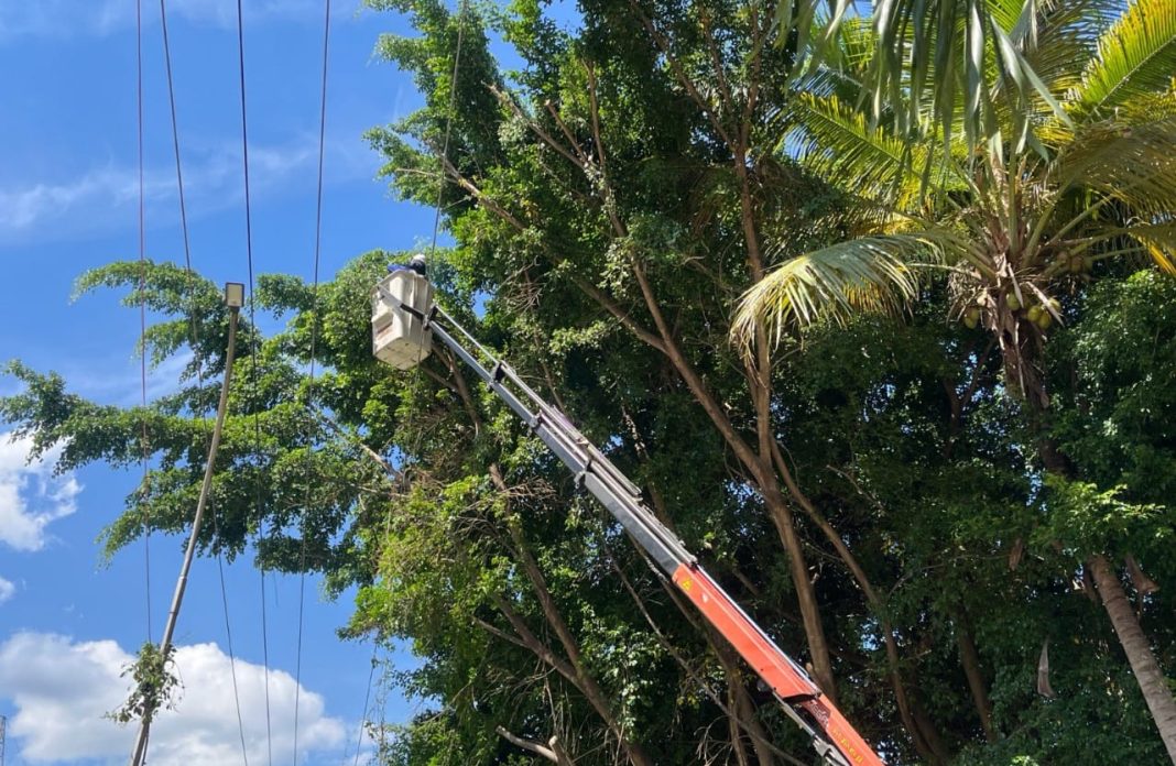 Plan de Control de Vegetación