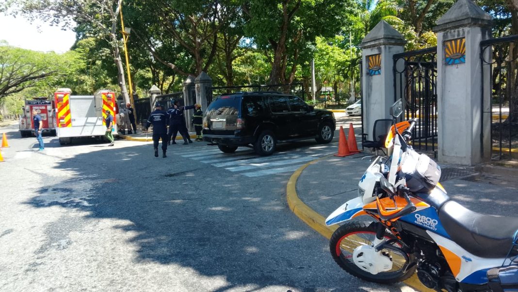 Cuerpos de seguridad activan protocolo de emergencia en Parque Negra Hipólita por ataques de abejas