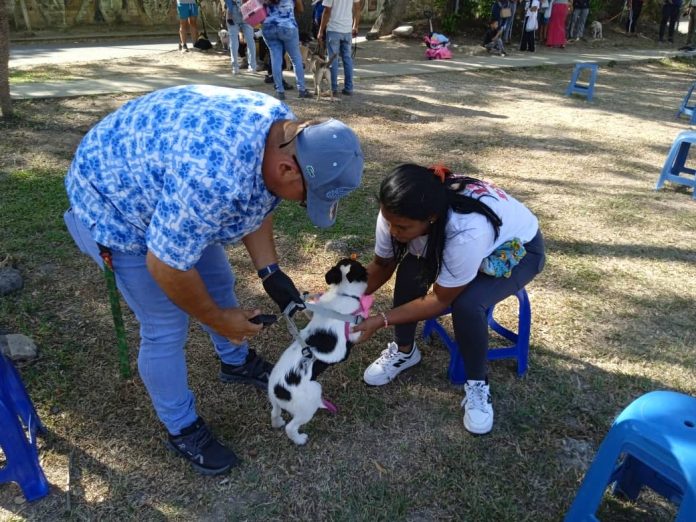 WhatsApp Image 2026-02-23 at 2.46.36 PM 100 mascotas San Diego