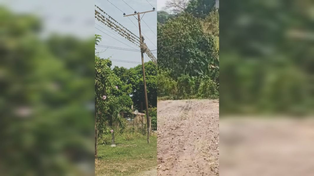 Carlos Arvelo: vecinos de El Naranjito denuncian falta de servicios básicos desde hace más de 9 años