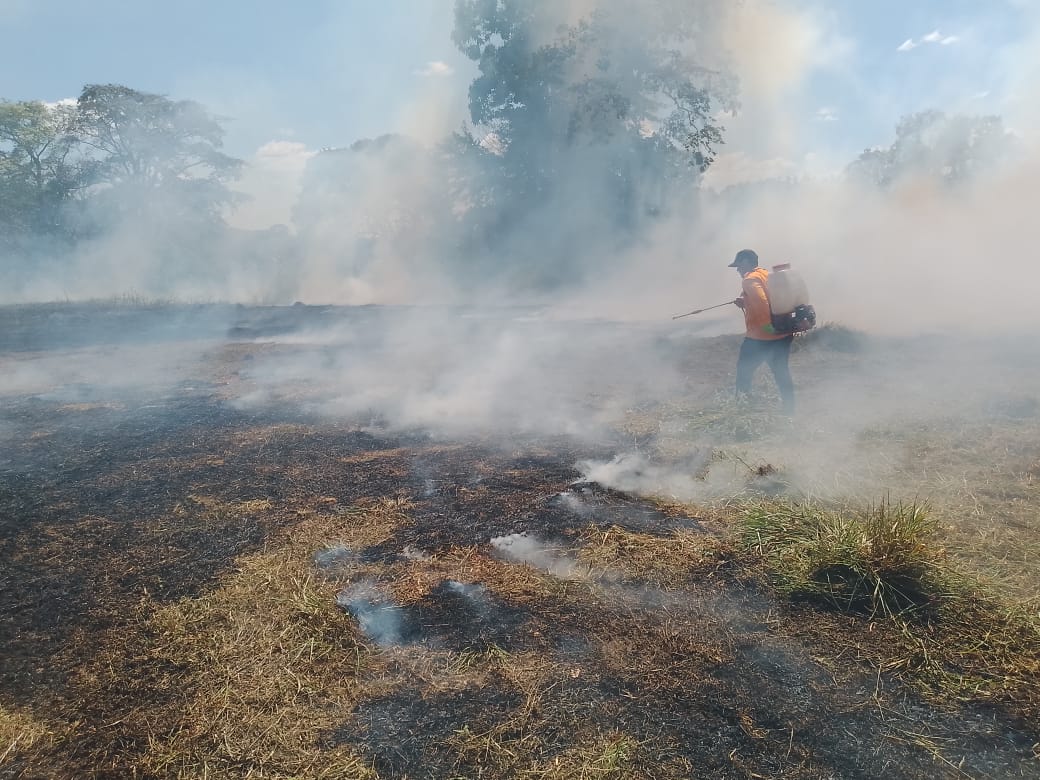 Ivacea Occidente de Carabobo