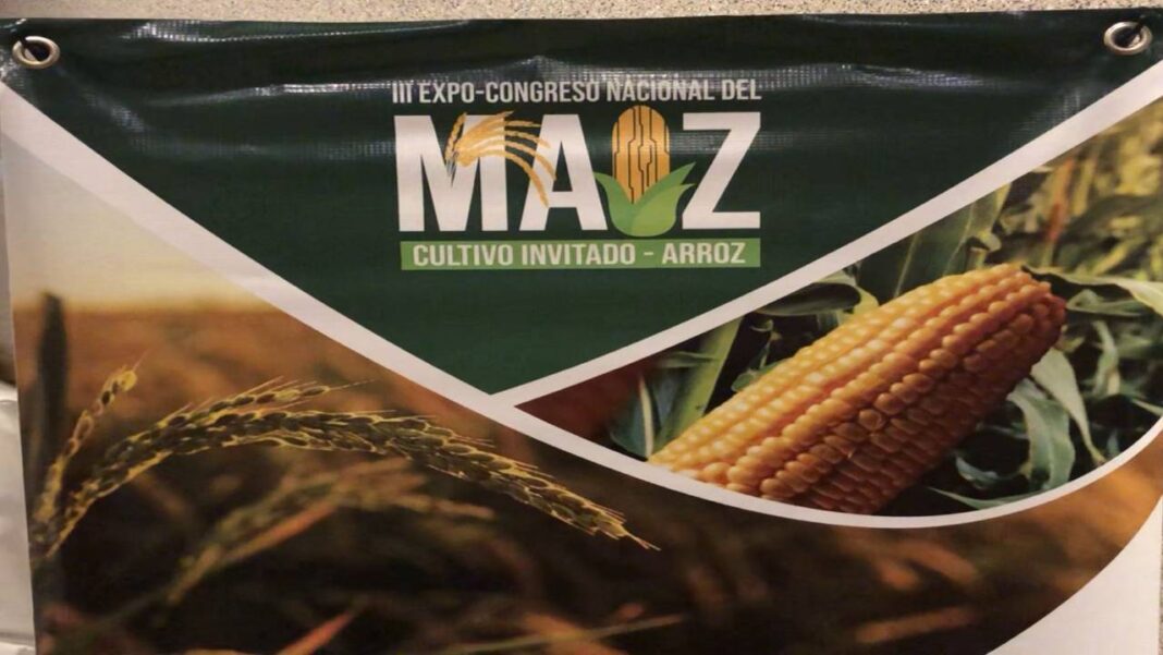 Barquisimeto será sede del III Expo-Congreso Nacional del Maíz y el Arroz 2026