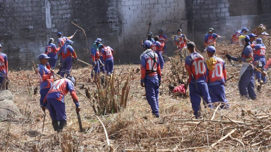 Alcaldía de Valencia IMA