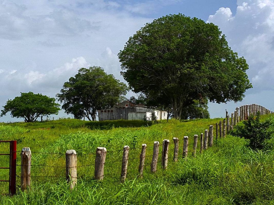 Adolescente asesinó a su hermano de 8 años con una escopeta