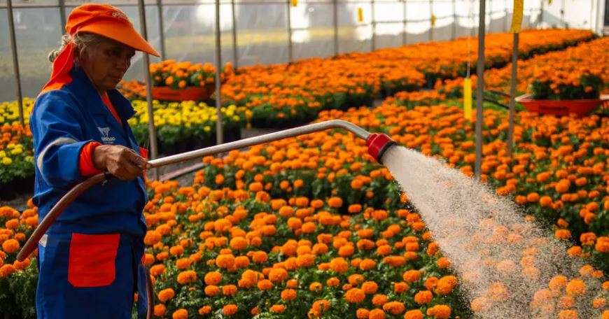 México: Sheinbaum publica reforma que reduce jornada laboral