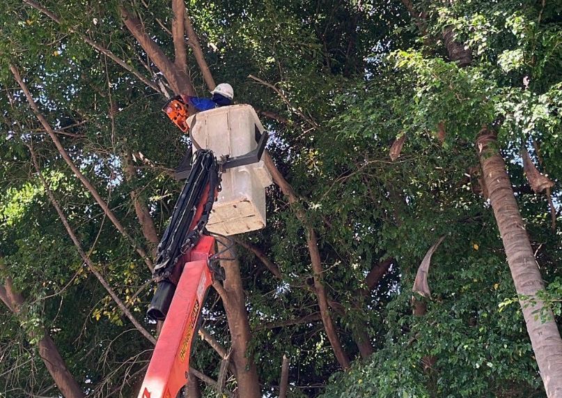 Corpoelec realizó labores preventivas en tres municipios de Carabobo