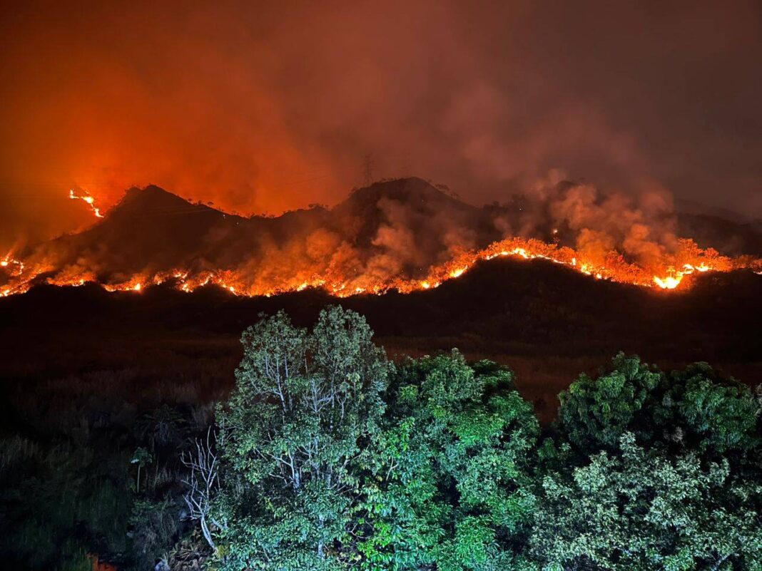 Continúan labores para combatir incendio en el parque Henri Pittier