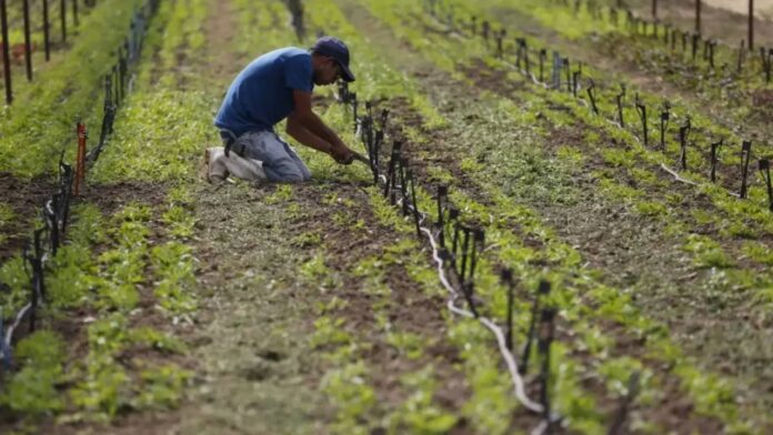 En Lara proponen reforma a la Ley de Tierras