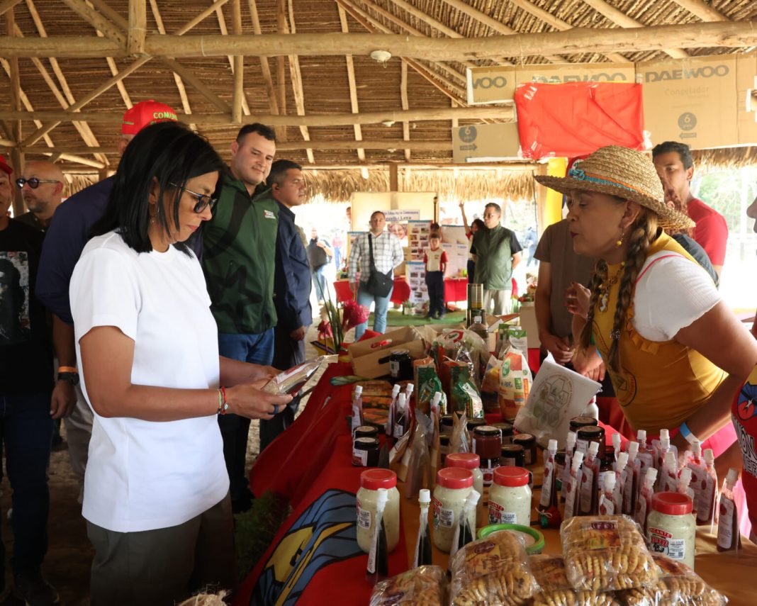 Ejecutivo ordena transferencia inmediata de recursos para la industrialización de las comunas