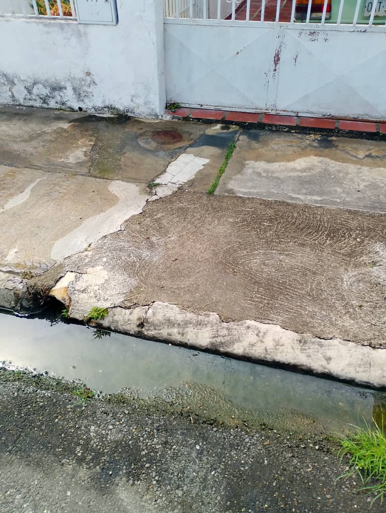 Brote de aguas negras afecta a vecinos de las Quintas de Naguanagua Brote de aguas negras afecta a vecinos de las Quintas de Naguanagua